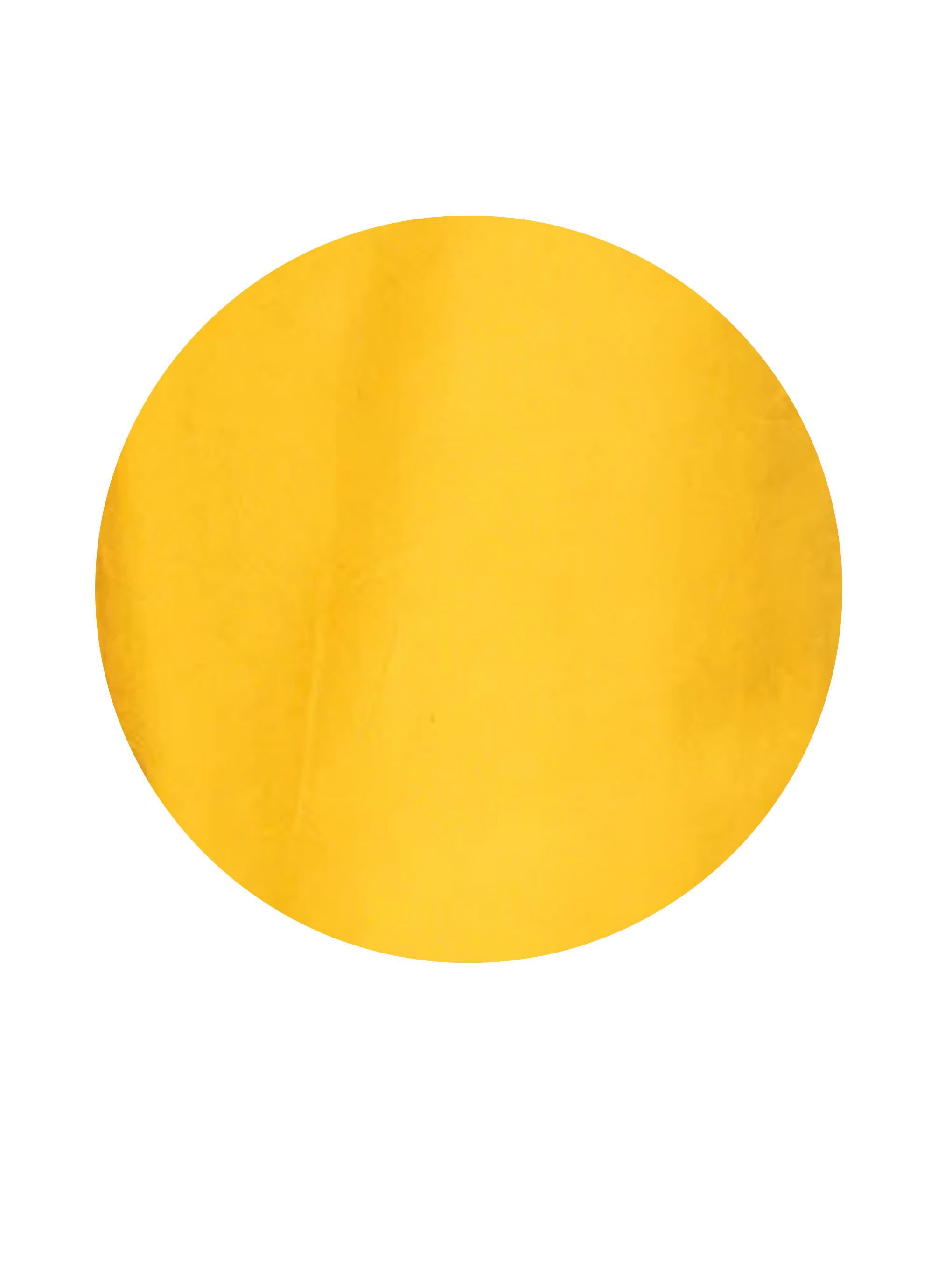 Oilio - yellow cotton womens pants